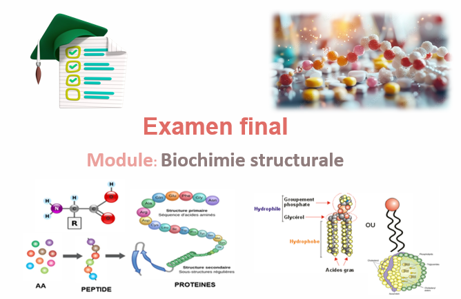 Examen 2023